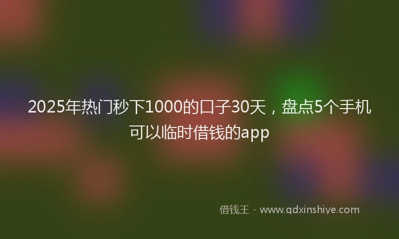 2025年热门秒下1000的口子30天，盘点5个手机可以临时借钱的app