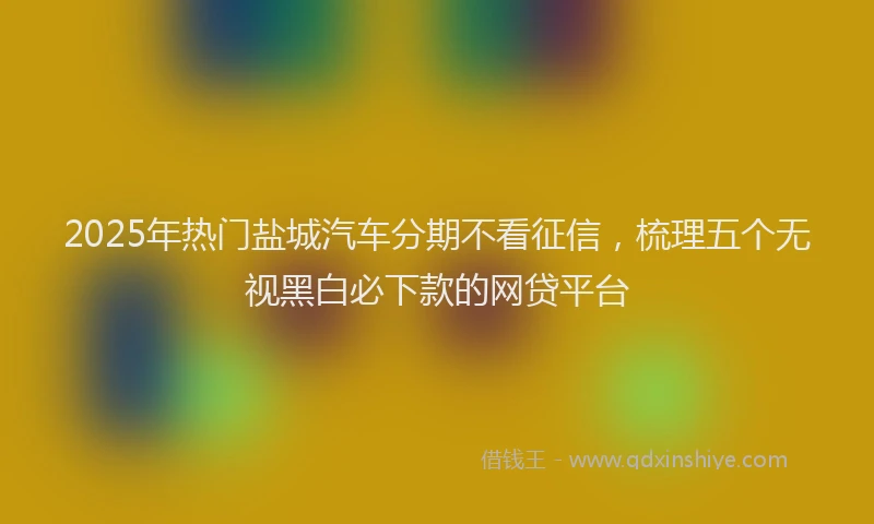 2025年热门盐城汽车分期不看征信，梳理五个无视黑白必下款的网贷平台