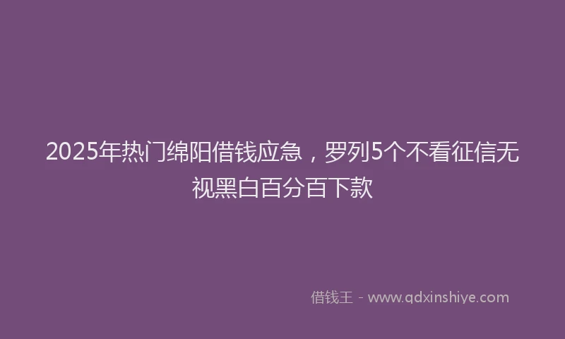 2025年热门绵阳借钱应急，罗列5个不看征信无视黑白百分百下款