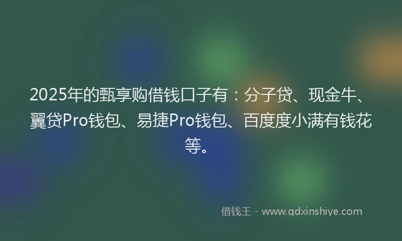 2025年的甄享购借钱口子有：分子贷、现金牛、翼贷Pro钱包、易捷Pro钱包、百度度小满有钱花等。
