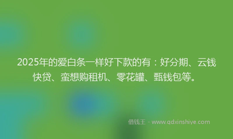 2025年的爱白条一样好下款的有：好分期、云钱快贷、蛮想购租机、零花罐、甄钱包等。