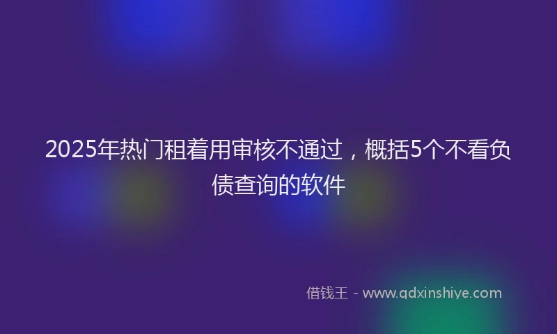 2025年热门租着用审核不通过，概括5个不看负债查询的软件