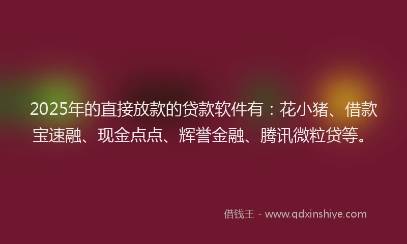 2025年的直接放款的贷款软件有：花小猪、借款宝速融、现金点点、辉誉金融、腾讯微粒贷等。