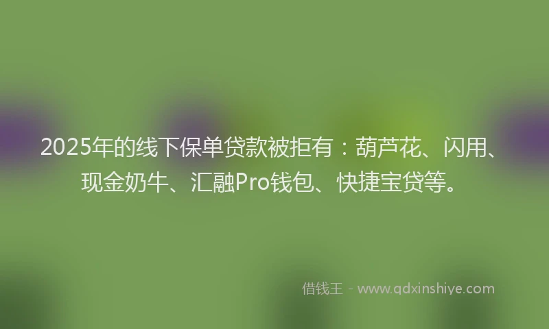 2025年的线下保单贷款被拒有：葫芦花、闪用、现金奶牛、汇融Pro钱包、快捷宝贷等。