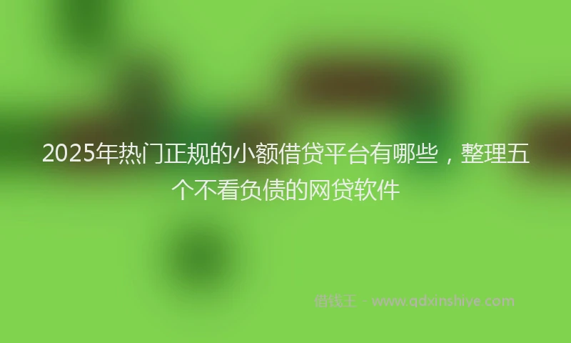 2025年热门正规的小额借贷平台有哪些，整理五个不看负债的网贷软件
