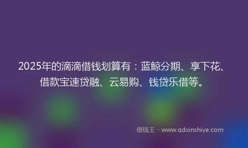 2025年的滴滴借钱划算有：蓝鲸分期、享下花、借款宝速贷融、云易购、钱贷乐借等。