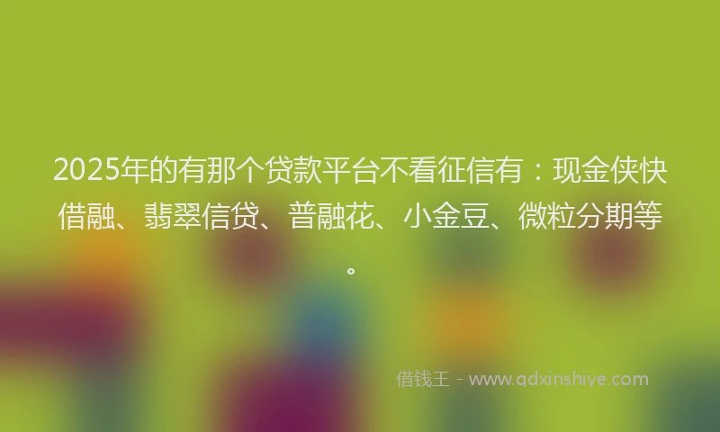 2025年的有那个贷款平台不看征信有：现金侠快借融、翡翠信贷、普融花、小金豆、微粒分期等。