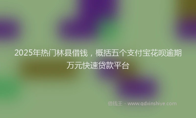 2025年热门林县借钱，概括五个支付宝花呗逾期万元快速贷款平台