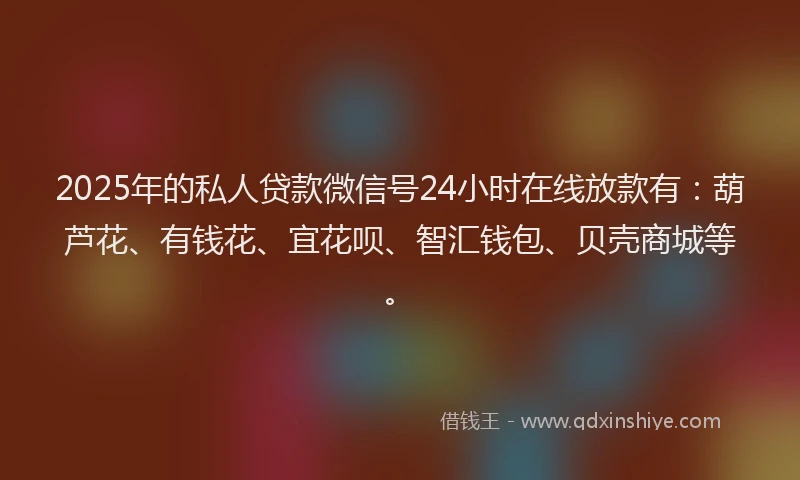 2025年的私人贷款微信号24小时在线放款有：葫芦花、有钱花、宜花呗、智汇钱包、贝壳商城等。