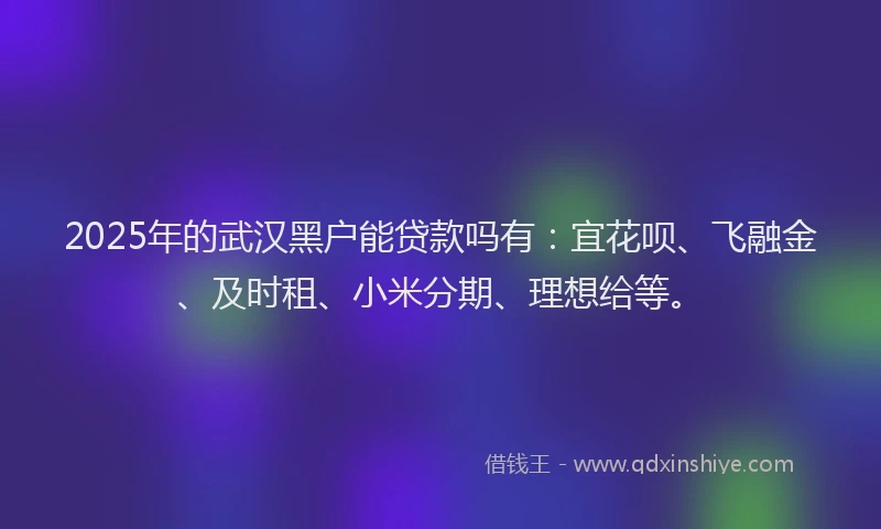 2025年的武汉黑户能贷款吗有：宜花呗、飞融金、及时租、小米分期、理想给等。