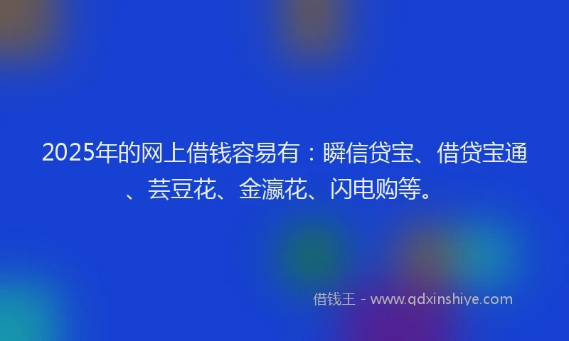 2025年的网上借钱容易有：瞬信贷宝、借贷宝通、芸豆花、金瀛花、闪电购等。