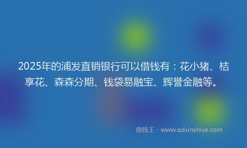 2025年的浦发直销银行可以借钱有：花小猪、桔享花、森森分期、钱袋易融宝、辉誉金融等。