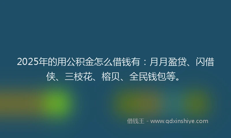 2025年的用公积金怎么借钱有：月月盈贷、闪借侠、三枝花、榕贝、全民钱包等。