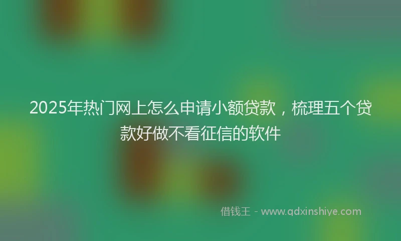 2025年热门网上怎么申请小额贷款，梳理五个贷款好做不看征信的软件