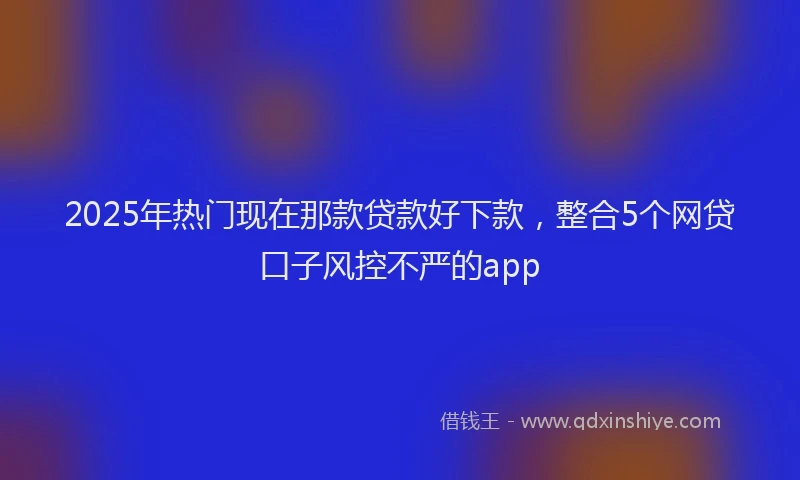 2025年热门现在那款贷款好下款，整合5个网贷口子风控不严的app