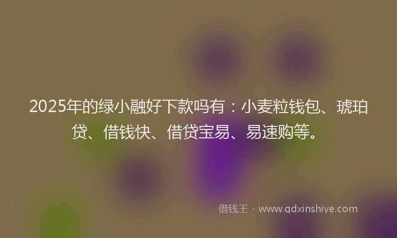 2025年的绿小融好下款吗有：小麦粒钱包、琥珀贷、借钱快、借贷宝易、易速购等。