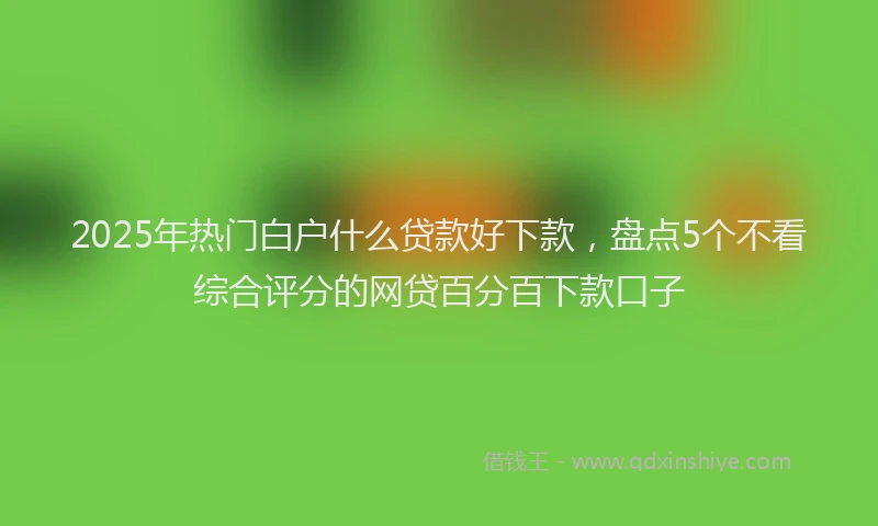 2025年热门白户什么贷款好下款，盘点5个不看综合评分的网贷百分百下款口子
