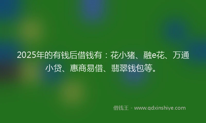 2025年的有钱后借钱有：花小猪、融e花、万通小贷、惠商易借、翡翠钱包等。