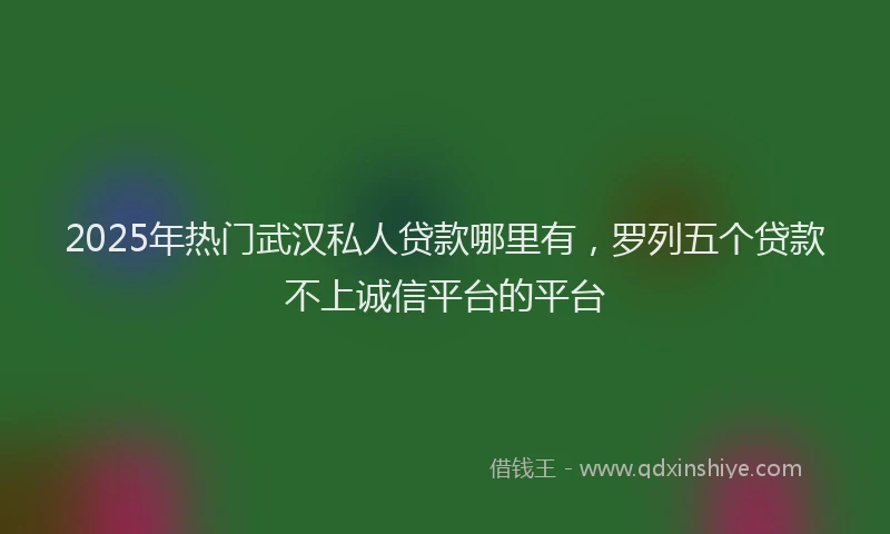 2025年热门武汉私人贷款哪里有，罗列五个贷款不上诚信平台的平台