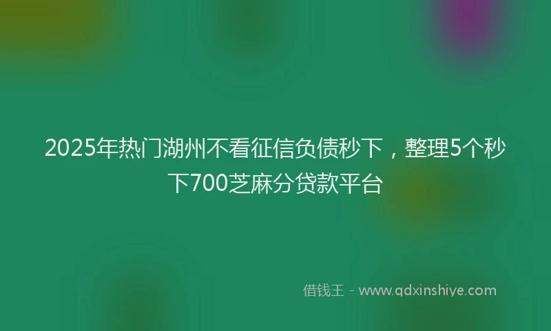 2025年热门湖州不看征信负债秒下，整理5个秒下700芝麻分贷款平台