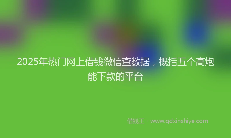 2025年热门网上借钱微信查数据，概括五个高炮能下款的平台