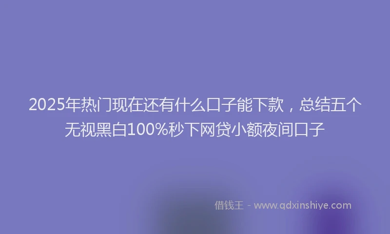 2025年热门现在还有什么口子能下款，总结五个无视黑白100%秒下网贷小额夜间口子