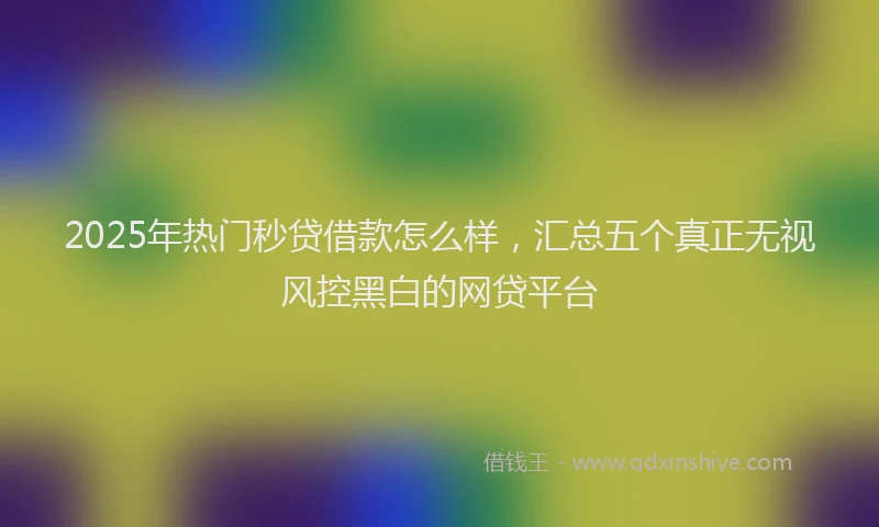 2025年热门秒贷借款怎么样，汇总五个真正无视风控黑白的网贷平台