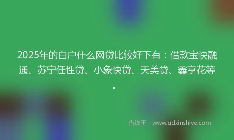 2025年的白户什么网贷比较好下有：借款宝快融通、苏宁任性贷、小象快贷、天美贷、鑫享花等。