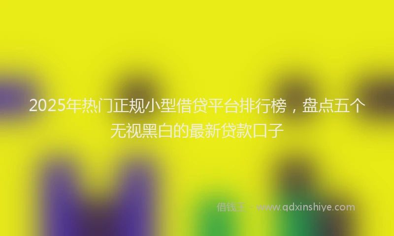 2025年热门正规小型借贷平台排行榜，盘点五个无视黑白的最新贷款口子
