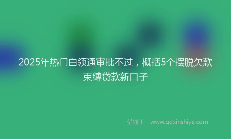 2025年热门白领通审批不过，概括5个摆脱欠款束缚贷款新口子