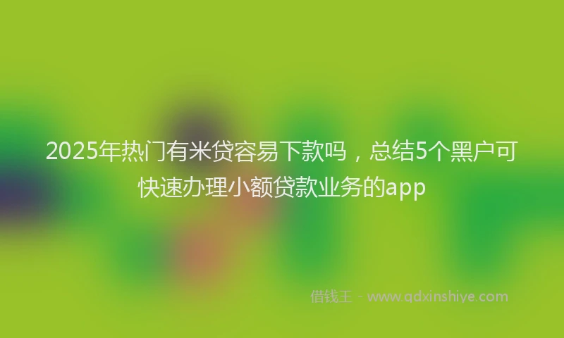 2025年热门有米贷容易下款吗，总结5个黑户可快速办理小额贷款业务的app