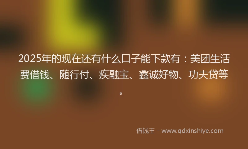 2025年的现在还有什么口子能下款有：美团生活费借钱、随行付、疾融宝、鑫诚好物、功夫贷等。