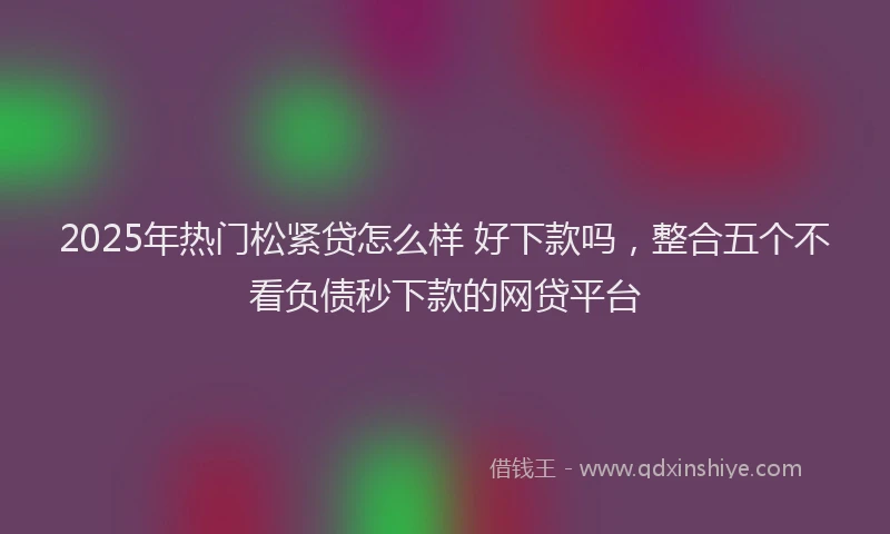 2025年热门松紧贷怎么样 好下款吗，整合五个不看负债秒下款的网贷平台