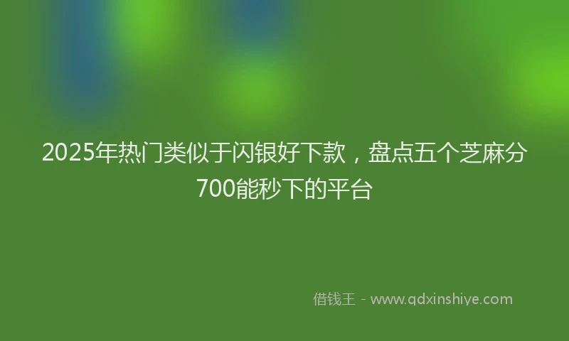 2025年热门类似于闪银好下款，盘点五个芝麻分700能秒下的平台