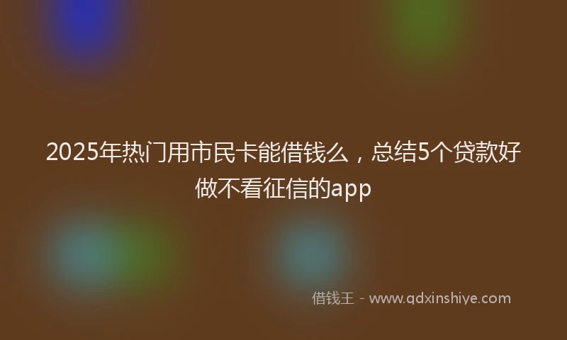 2025年热门用市民卡能借钱么，总结5个贷款好做不看征信的app