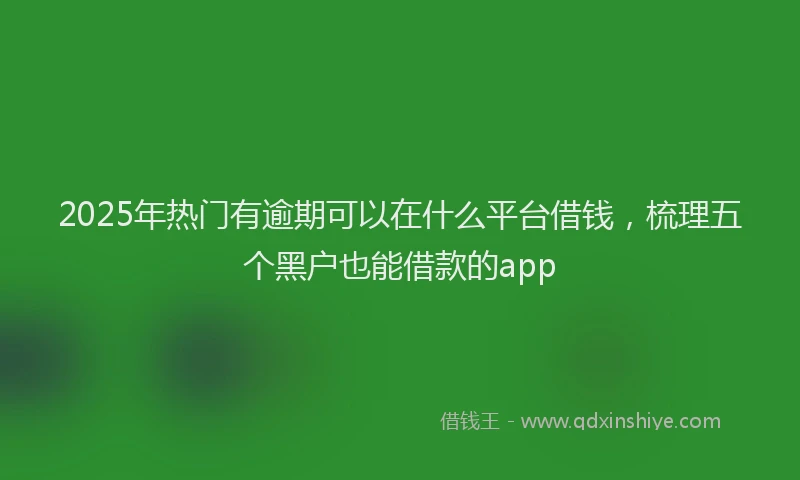 2025年热门有逾期可以在什么平台借钱，梳理五个黑户也能借款的app