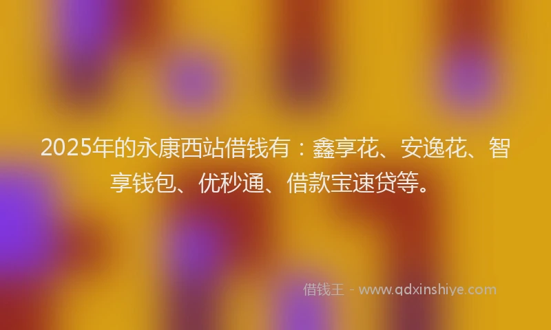 2025年的永康西站借钱有：鑫享花、安逸花、智享钱包、优秒通、借款宝速贷等。