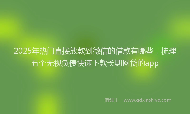 2025年热门直接放款到微信的借款有哪些，梳理五个无视负债快速下款长期网贷的app