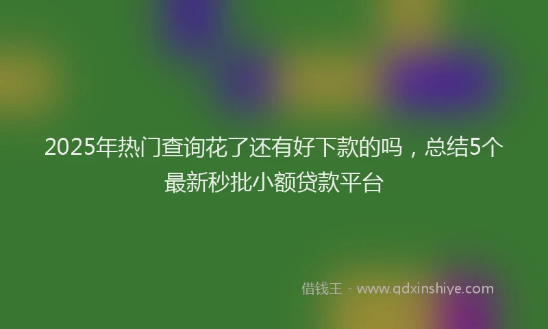 2025年热门查询花了还有好下款的吗，总结5个最新秒批小额贷款平台