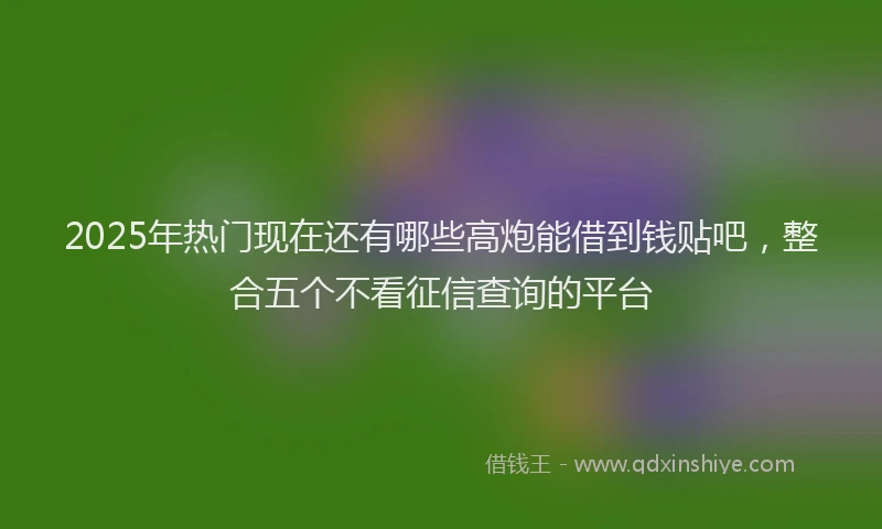 2025年热门现在还有哪些高炮能借到钱贴吧，整合五个不看征信查询的平台