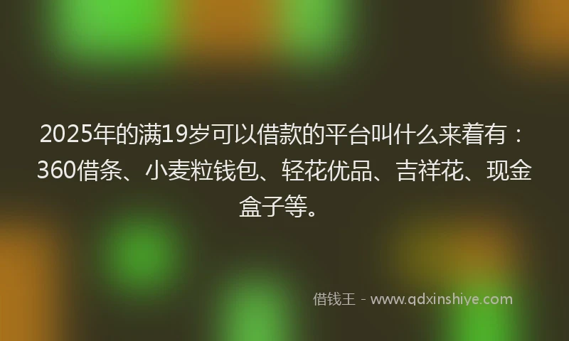 2025年的满19岁可以借款的平台叫什么来着有：360借条、小麦粒钱包、轻花优品、吉祥花、现金盒子等。