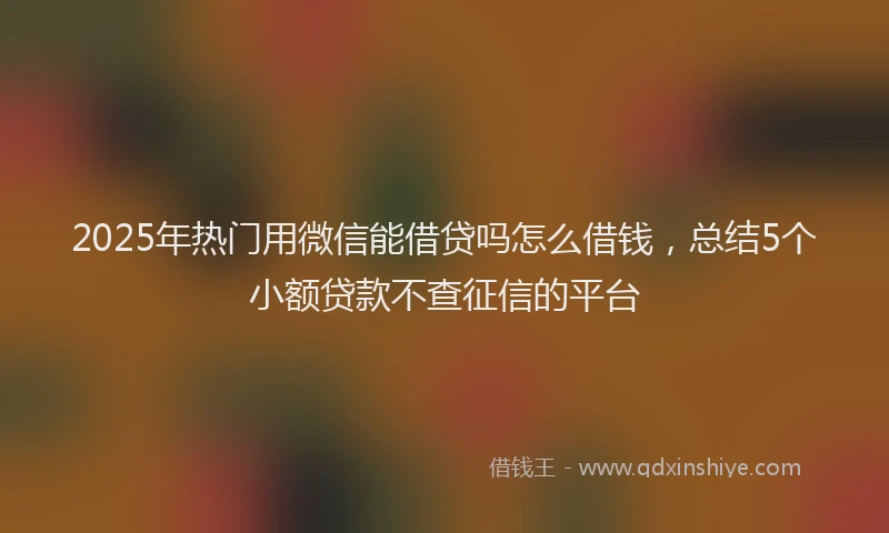 2025年热门用微信能借贷吗怎么借钱，总结5个小额贷款不查征信的平台