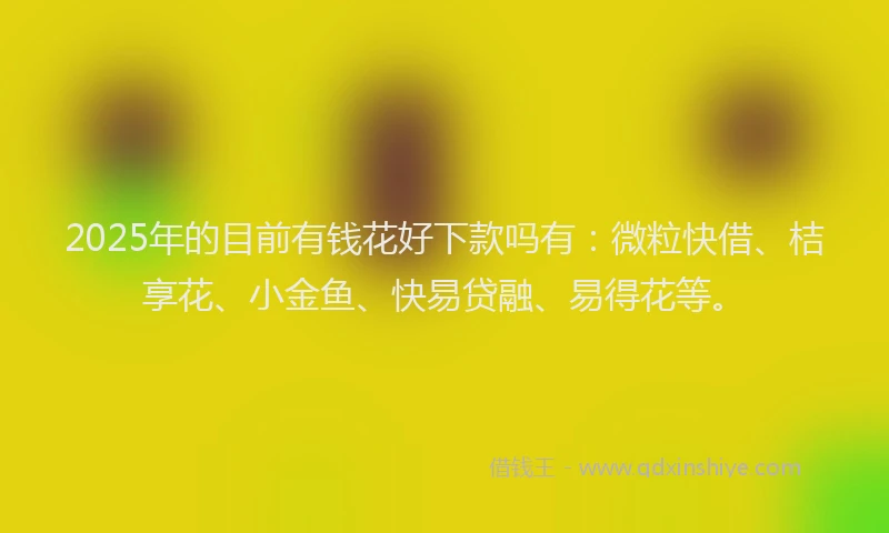 2025年的目前有钱花好下款吗有：微粒快借、桔享花、小金鱼、快易贷融、易得花等。