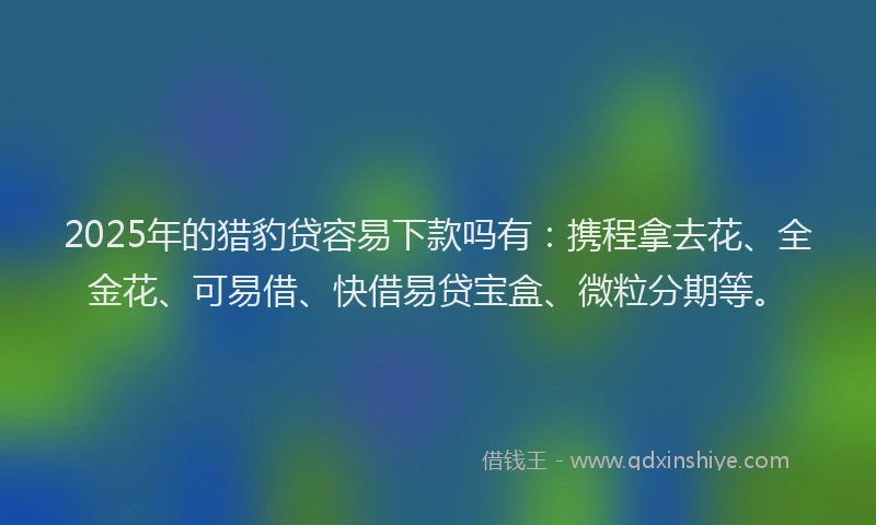 2025年的猎豹贷容易下款吗有：携程拿去花、全金花、可易借、快借易贷宝盒、微粒分期等。