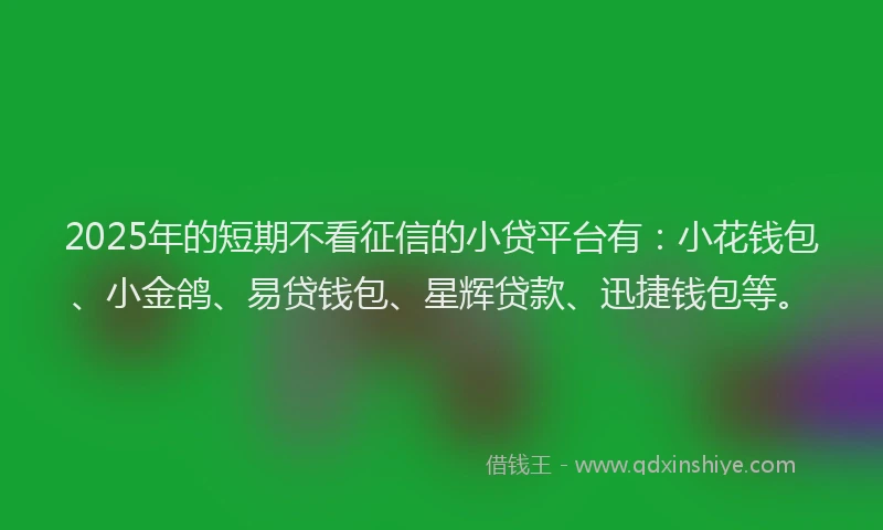 2025年的短期不看征信的小贷平台有：小花钱包、小金鸽、易贷钱包、星辉贷款、迅捷钱包等。