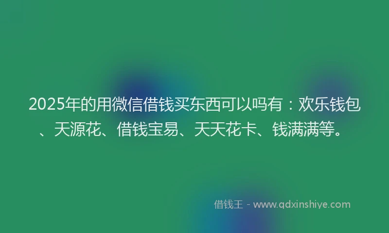 2025年的用微信借钱买东西可以吗有：欢乐钱包、天源花、借钱宝易、天天花卡、钱满满等。