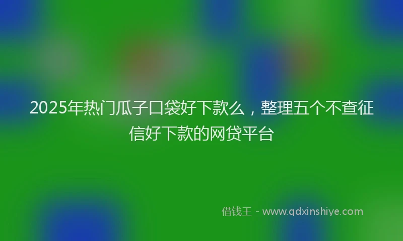 2025年热门瓜子口袋好下款么，整理五个不查征信好下款的网贷平台