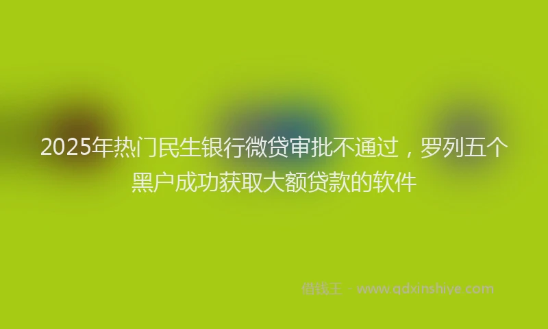 2025年热门民生银行微贷审批不通过，罗列五个黑户成功获取大额贷款的软件