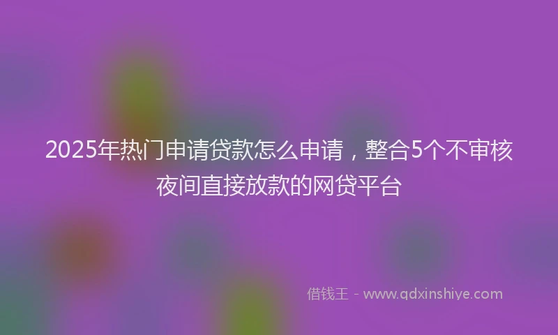 2025年热门申请贷款怎么申请，整合5个不审核夜间直接放款的网贷平台