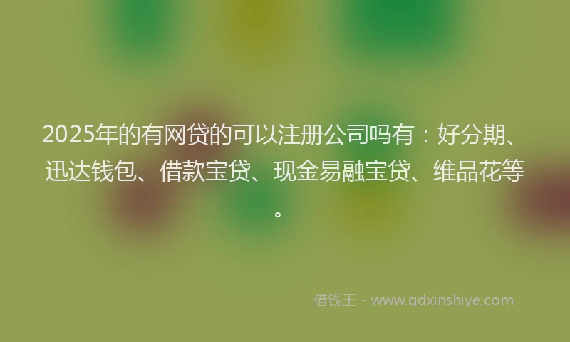 2025年的有网贷的可以注册公司吗有：好分期、迅达钱包、借款宝贷、现金易融宝贷、维品花等。